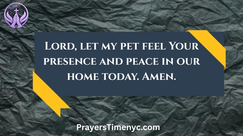 daily-prayers-for-pets