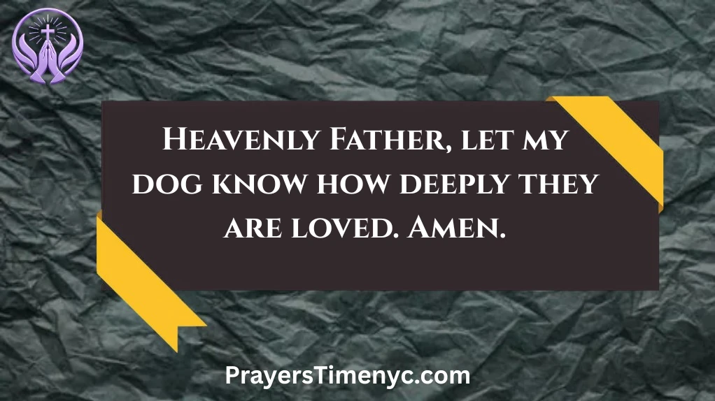prayers-for-dogs
